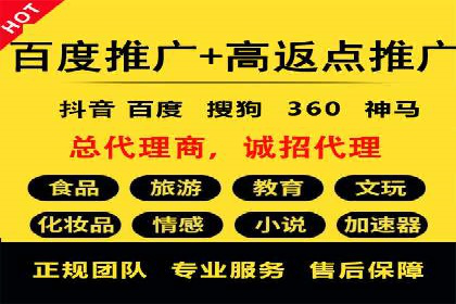 百度竞价代理实战技巧：经典案例深度解读